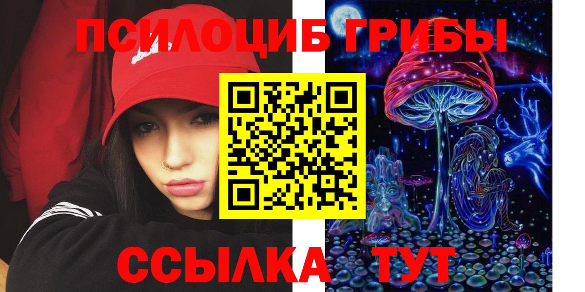 Галлюциногенные грибы прущие грибы  Псилоцибиновые грибы Psilocybine cubensis  Вход с VPN  Аргун 